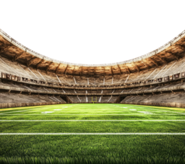 Spectacular Stadium Interior with Grass Field