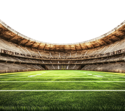 Spectacular Stadium Interior with Grass Field