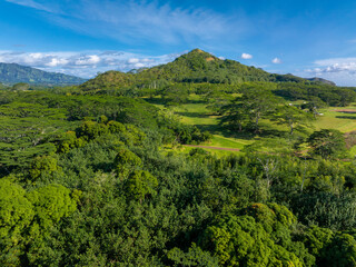 Fototapeta premium Aerial view of a green landscape on Kauai island with a central hill, dense tropical vegetation, grassy areas, scattered trees, and a clear blue sky.