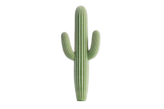 Tall Green Cactus with Vertical Stripes Isolated on White Background