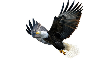 Fototapeta premium Majestic bald eagle soaring through the sky