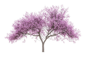 Beautiful blooming pink tree with vibrant flowers and lush foliage