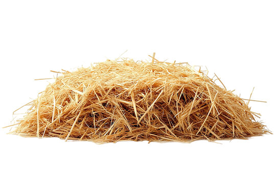 Pile of Straw Isolated Against Black Background