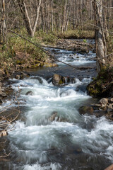 山奥の春の渓流
