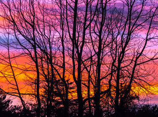 2024 01 29 Dramatic Winter Sunrise Beyond the Trees 004