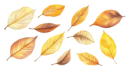 Autumn leaves, various shades, artistic arrangement, graphic element, background image for seasonal design