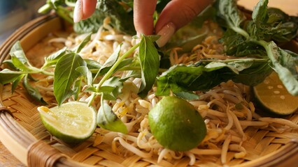 Womans hand adds fresh basil leaves to tray with mung bean sprouts Close-up basil aroma enhancing...