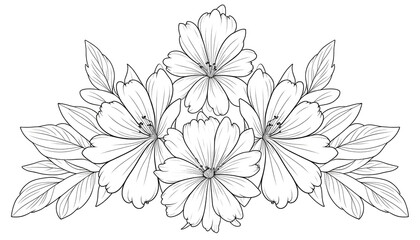 coloring books flower beautiful 