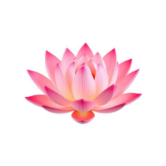 Beautiful Pink Lotus Flower with Petals and Soft Gradients