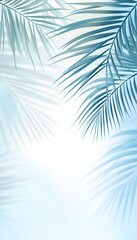 Blue Palms And Shadows Create A Beautiful Summer Background