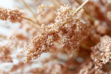 Fototapeta premium Delicate clusters of dried grasses showcase muted colors, bringing a natural and rustic charm to the indoor atmosphere. Generative AI