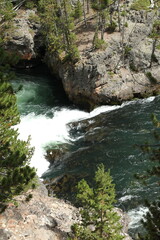 Obraz premium Yellowstone River along North Rim Trail in Yellowstone National Park, WY