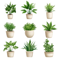 Fototapeta premium Array of Indoor Plants in Decorative Pots for Modern Spaces