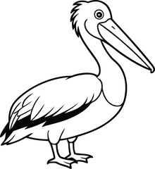 Fototapeta premium Dalmatian Pelican Pelecanus crispus in front of a white background vector art illustration