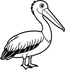 Dalmatian Pelican Pelecanus crispus in front of a white background vector art illustration