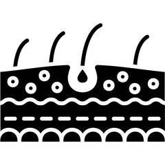 Skin Pores Icon