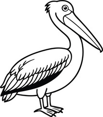 Dalmatian Pelican Pelecanus crispus in front of a white background vector art illustration