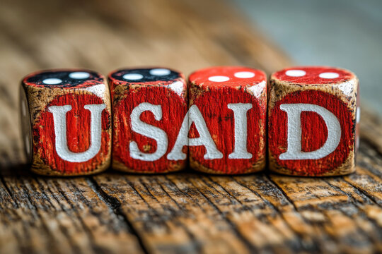 Creative Arrangement of Wooden Blocks Spelling USAID on Rustic Wood