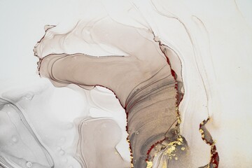 Obraz premium Original artwork photo of marble ink abstract art. High resolution photograph from exemplary original painting. Abstract painting was painted on HQ paper texture to create smooth marbling pattern.