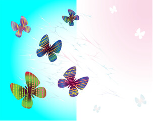 butterflies on a blue background