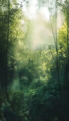 Obraz premium A Lush Green Forest Landscape Featuring Sunlight and Atmospheric Mist