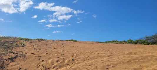 Naturaleza: aridez en azul sin límite 