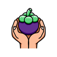 holding mangosteen fruit with two white background hands, vector illustrator design