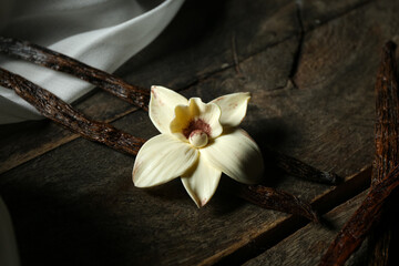 Composition with aromatic vanilla sticks and flower on dark wooden background