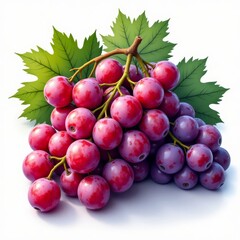 Fototapeta premium Bunch of Red Globe Grapes with Leaves