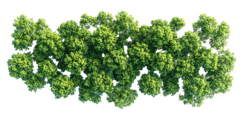 Lush green tree canopy aerial view nature png transparency background vibrant environment