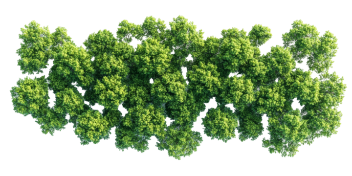 Lush green tree canopy aerial view nature png transparency background vibrant environment