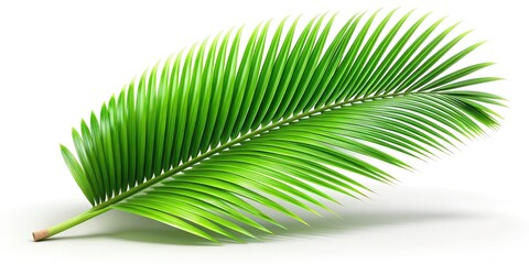 Obraz premium Long exposure reveals vibrant 3D coconut leaf art, its green hues popping against a stark white background.