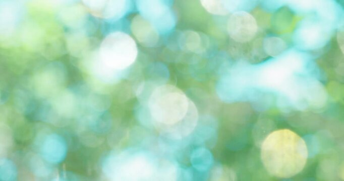 春・夏　キラキラ光り輝く　さわやかな森の木の葉新緑の光の丸ボケ　自然の背景　アウトドア・太陽の日差し
