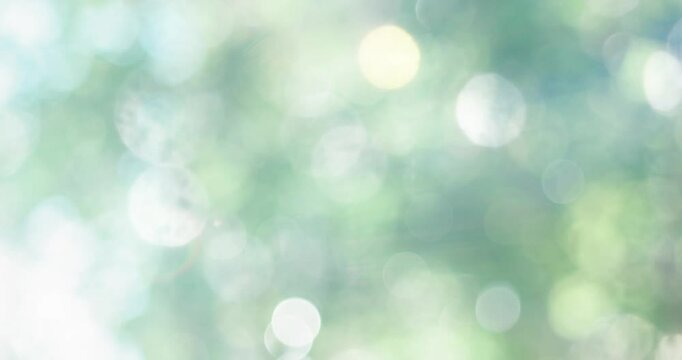 春・夏　キラキラ光り輝く　さわやかな森の木の葉新緑の光の丸ボケ　自然の背景　アウトドア・太陽の日差し