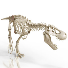 	3D-rendered Tyrannosaurus Rex skeleton with detailed bone structure. Perfect for educational content, museum exhibits, and prehistoric-themed artwork. Ideal for science and history enthusiasts.