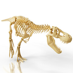 Realistic 3D rendering of a dinosaur skeleton, featuring the fierce T-Rex in museum-quality detail. Ideal for scientific presentations, educational materials, and prehistoric-themed projects.