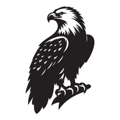 Bald Eagle Bird Silhouette Vector Illustration, Solid White Background.