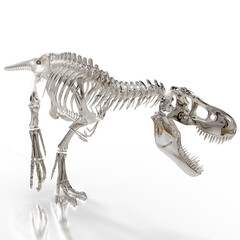 High-quality 3D render of a Tyrannosaurus Rex skeleton in a side profile. Perfect for educational content, museum exhibits, and prehistoric-themed designs. Ideal for science and history projects.