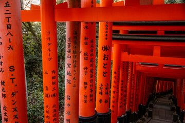 Fototapeta premium shinto shrine arches in Fushimi Inari in Japan 