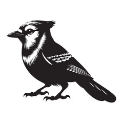 Blue Jay Bird Silhouette Vector Illustration, Solid White Background.