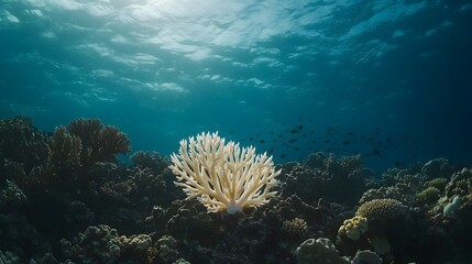 Fototapeta premium Pristine Coral Reef Teeming with Vibrant Marine Life Under Clear Blue Ocean Water