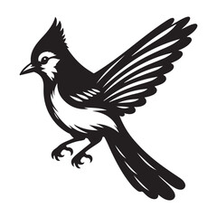 Blue Jay Bird Silhouette Vector Illustration, Solid White Background.