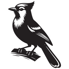 Blue Jay Bird Silhouette Vector Illustration, Solid White Background.