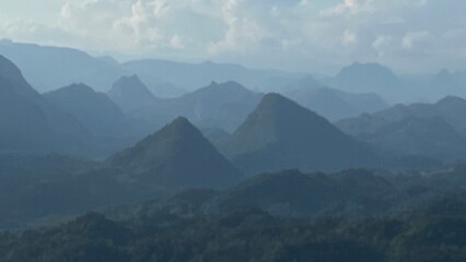Trees, mountains, forests, nature.