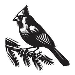 Cardinal Bird Silhouette Vector Illustration, Solid White Background.