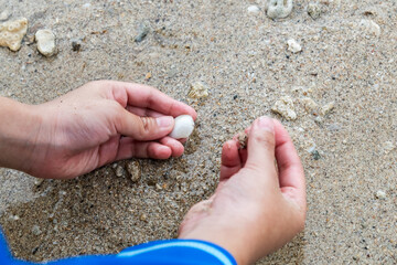 A child is showing a small seashell they found while playing on the beach
