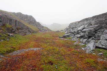 Rocky tundra summer landscape, foggy morning. Cliffs on the mountainside. Rybachy peninsula, Murmansk region, Russia