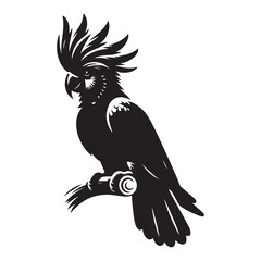 Cockatoo Bird Silhouette Vector Illustration, Solid White Background.
