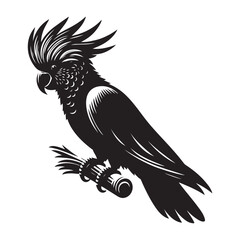 Cockatoo Bird Silhouette Vector Illustration, Solid White Background.