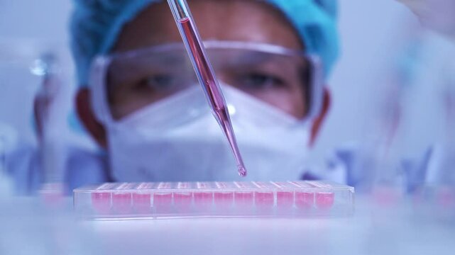 scientist dropping biochemical solution in to microplate for DNA analysis.
